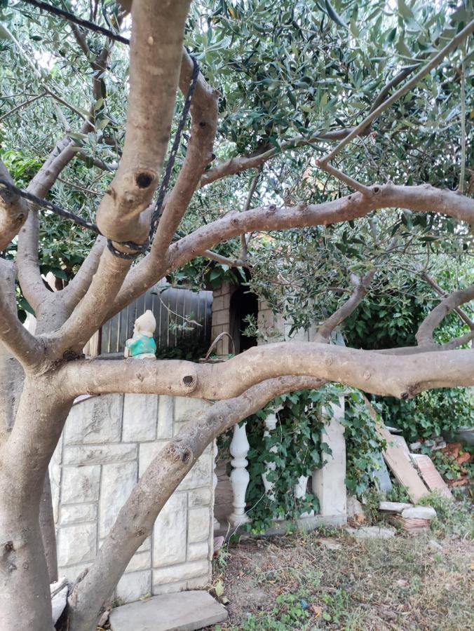 Apartment Cengo Kastela Dış mekan fotoğraf